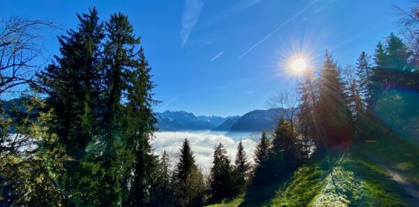 Nebel Sonne Engelbergertal